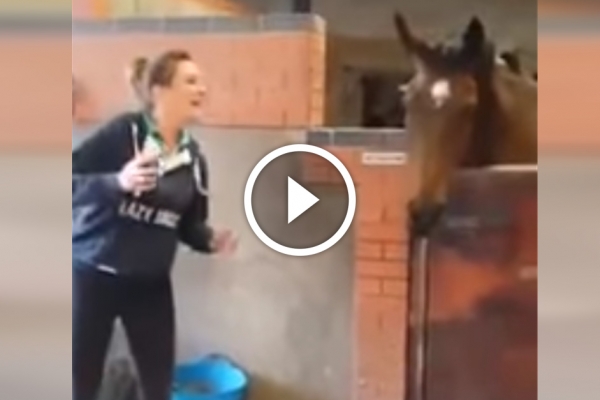 She dances by her horse. When he sees her? I couldnt stop laughing!