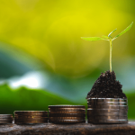 Homeowners Gained K in Equity over the Past Year