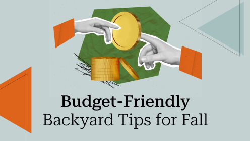 Budget-Friendly Backyard Tips for Fall | https://linktr.ee/hsrdallas