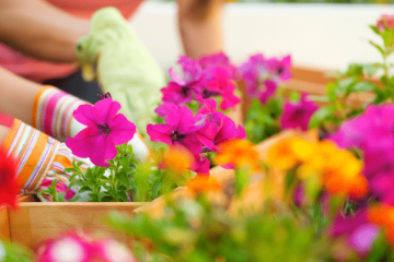 4 Things To Expect from the Spring Housing Market
